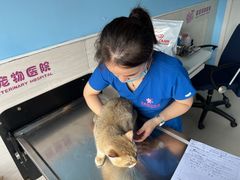 -哆趣宠物医院·眼科·内镜·急重症转诊中心(上海店)