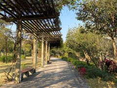 -广西壮族自治区药用植物园