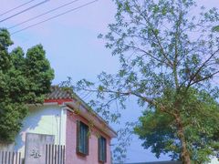 -三圣花乡旅游区