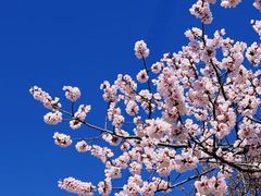 -清真·兰州老马家美食(凤凰岭店)