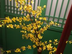 -香雪海·蘇面館(湖滨店)