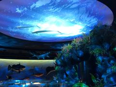 -陕西自然博物馆