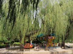 -团结湖公园