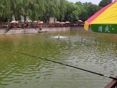 -尚庄度假村·庭台树下·户外烧烤·团建CS·轰趴营地(上庄水库店)