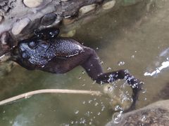 -风波庄(石景山店)