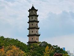 -江心屿景区