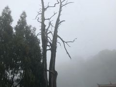 -灵光寺