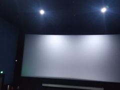 -首都电影院(天津店 中国巨幕)