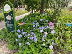 -宁波儿童公园(鄞州区)