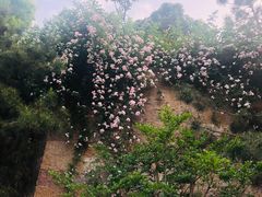 -西安华清御汤酒店