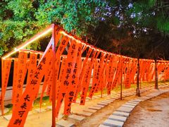 -鸡鸣山公园