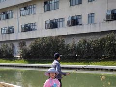 -韦哲乐高机器人·等级考试·少儿编程(羽山路校区)