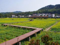 -红山村