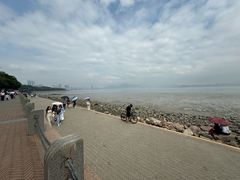 -宝安西湾红树林湿地公园