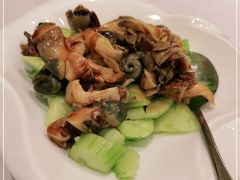 -开海·红岛海鲜虾水饺(石老人店)