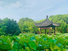 -丝绸小镇荻港古村