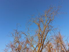 -丽江泸沽湖景区