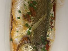 -维园悦谱·海派家常菜(乌鲁木齐南路店)