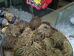 -港畔赶海蒸汽海鲜烧烤自助(仙螺岛店)