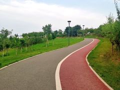 -马家湾湿地公园