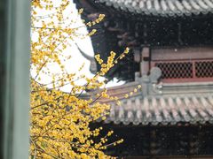 -钱王祠