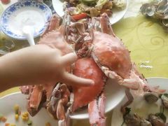 -叶存利海鲜大馅饺子(东戴河止锚湾店)