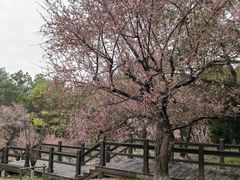 -上海世纪汇广场