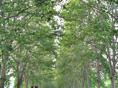 外景-河南省黄河迎宾馆