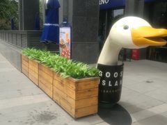 -玛尚诺意式餐厅(官舍店)