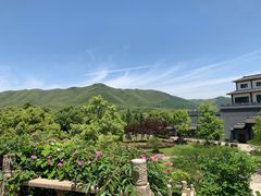 -陶祖圣境风景区