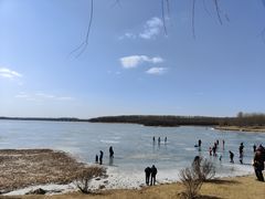 -丁香湖公园