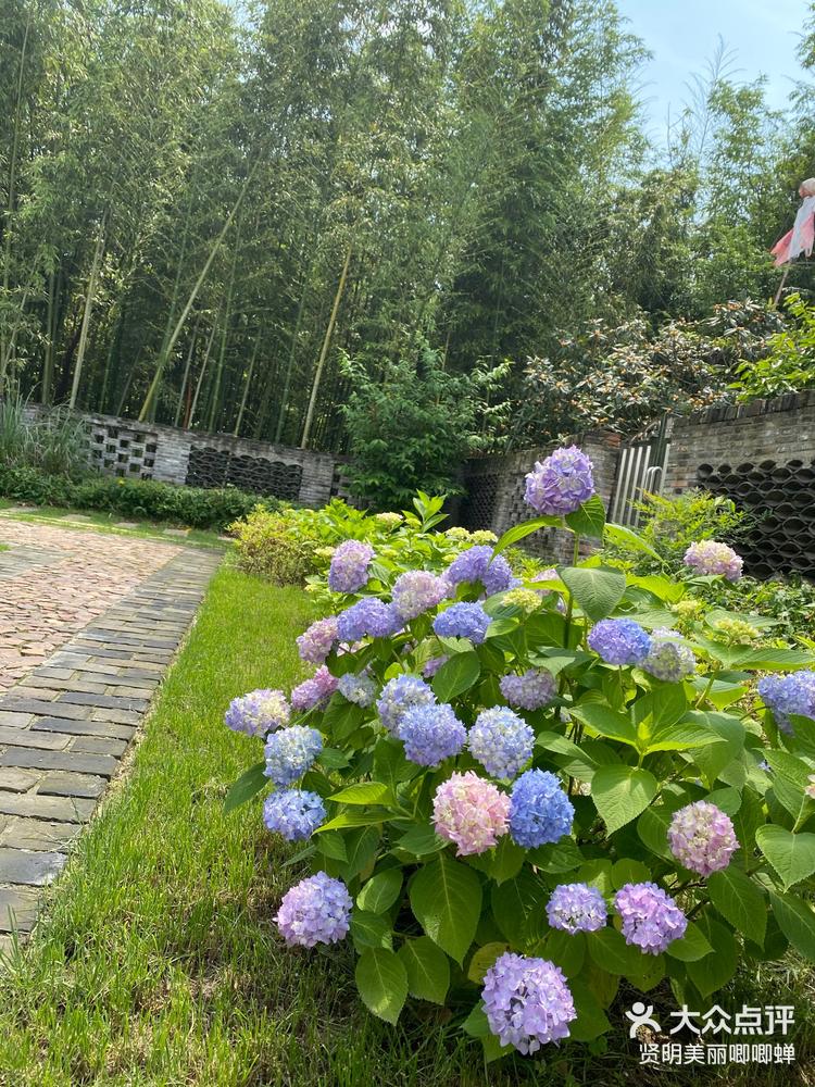 小朋友也可以去附近的小火车,坦克