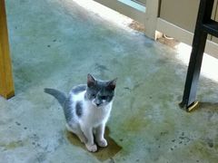 android_upload_pic-MIKAKU(万达广场上海宝山店)