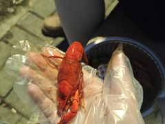 -艾溪湖湿地公园