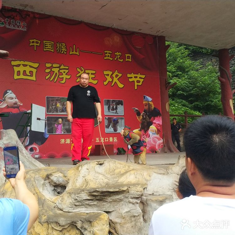 五龙口的猴子太可爱了