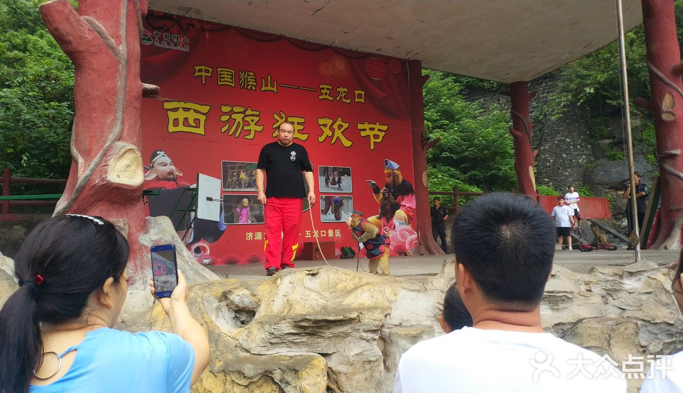 五龙口的猴子太可爱了