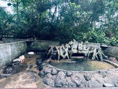 -海南热带野生动植物园