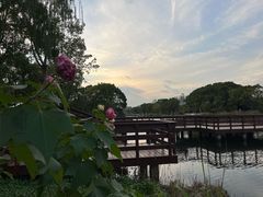 -新江湾城公园