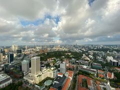 -新加坡瑞士史丹福酒店