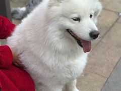 -海底捞火锅(中南盐城大有境夜宵主题店)