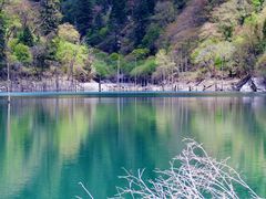 -叠溪松坪沟景区