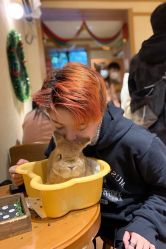 -倾城护肤造型