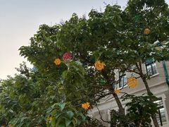 -上街里市集(悦喜客来广场店)