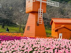 -苏州上方山国家森林公园