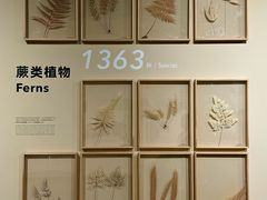 -昆明植物园