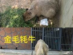 -无锡动物园·太湖欢乐园