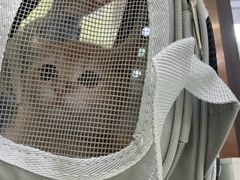 -瑞鹏宠物医院·宠保定点·心脏科·内科(御桥分院)