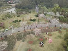 -自然谷恐龙园
