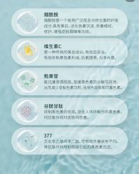 -香榭丽舍·海菲秀·皮肤管理痘敏肌修护