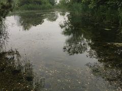 -天鹅湖体育公园